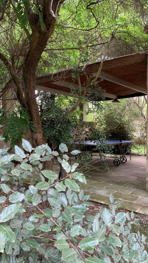 Tenuta Sidore Cursi Ngoại thất bức ảnh